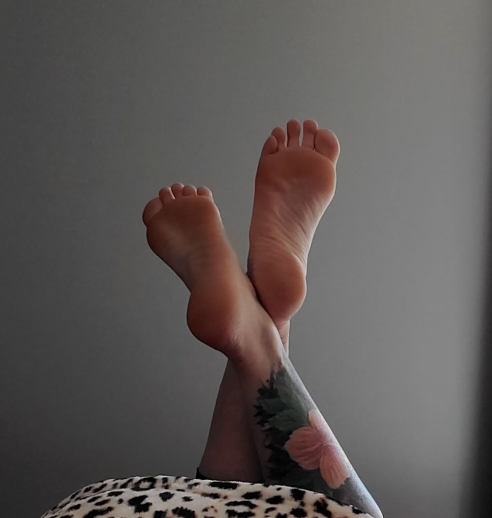 tatted_teases OnlyFans profile picture