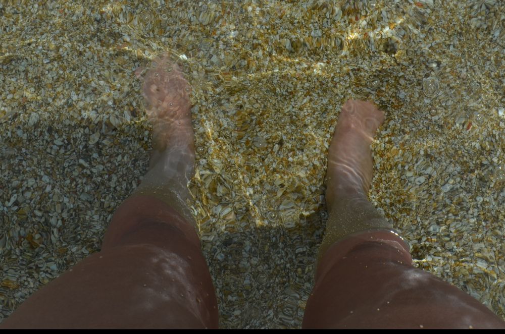 nomadicfeet OnlyFans profile picture