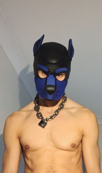 danthehound OnlyFans picture