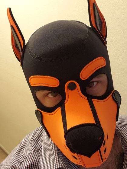 doctorfoxy9 OnlyFans picture