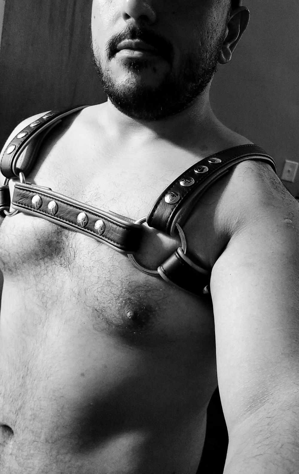 gayrod91 OnlyFans profile picture