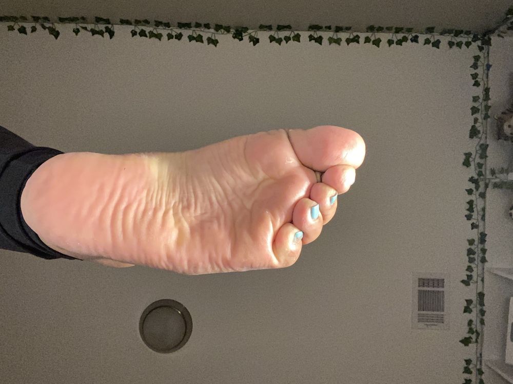 annita1209 OnlyFans profile picture