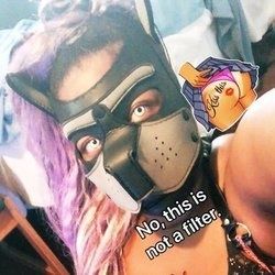 thepupqueen OnlyFans picture