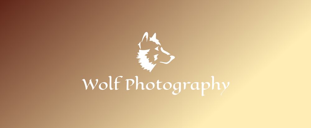 lone.wolf.photography OnlyFans profile picture