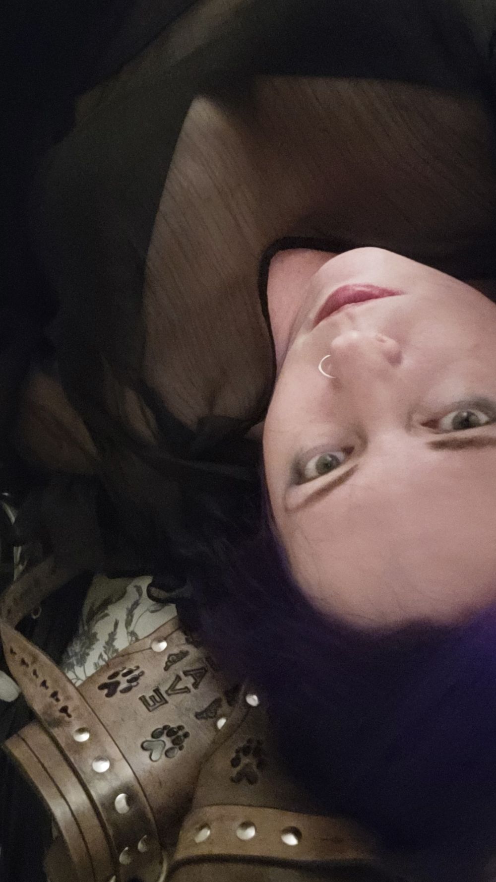missaayden OnlyFans profile picture