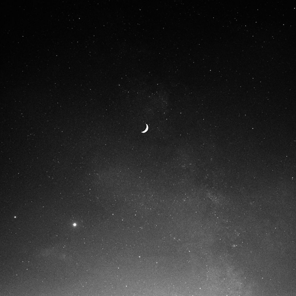 all_moon OnlyFans profile picture
