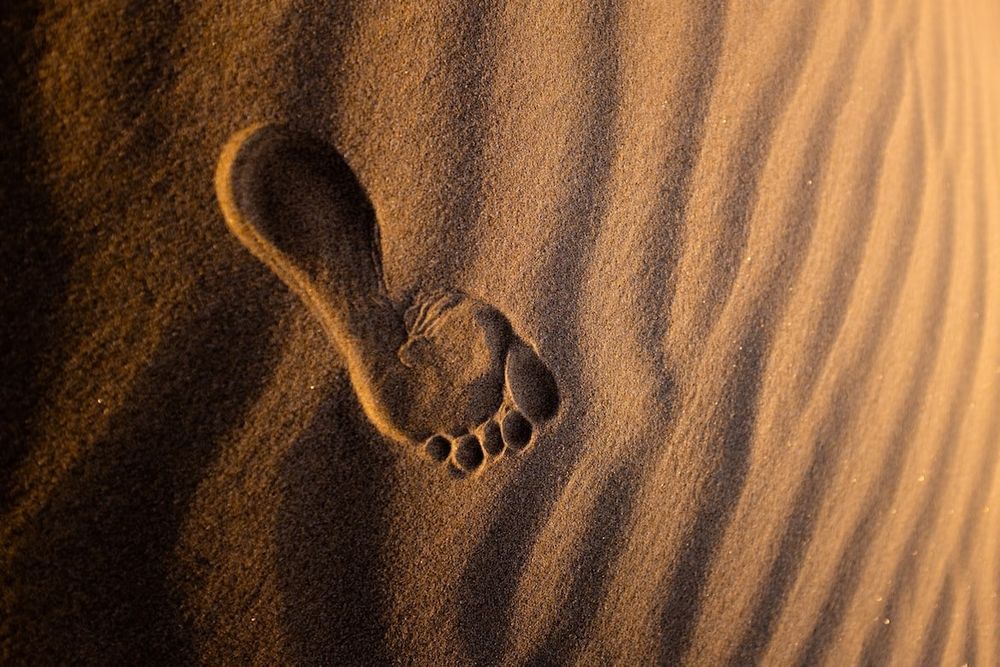 bronicefeet OnlyFans profile picture