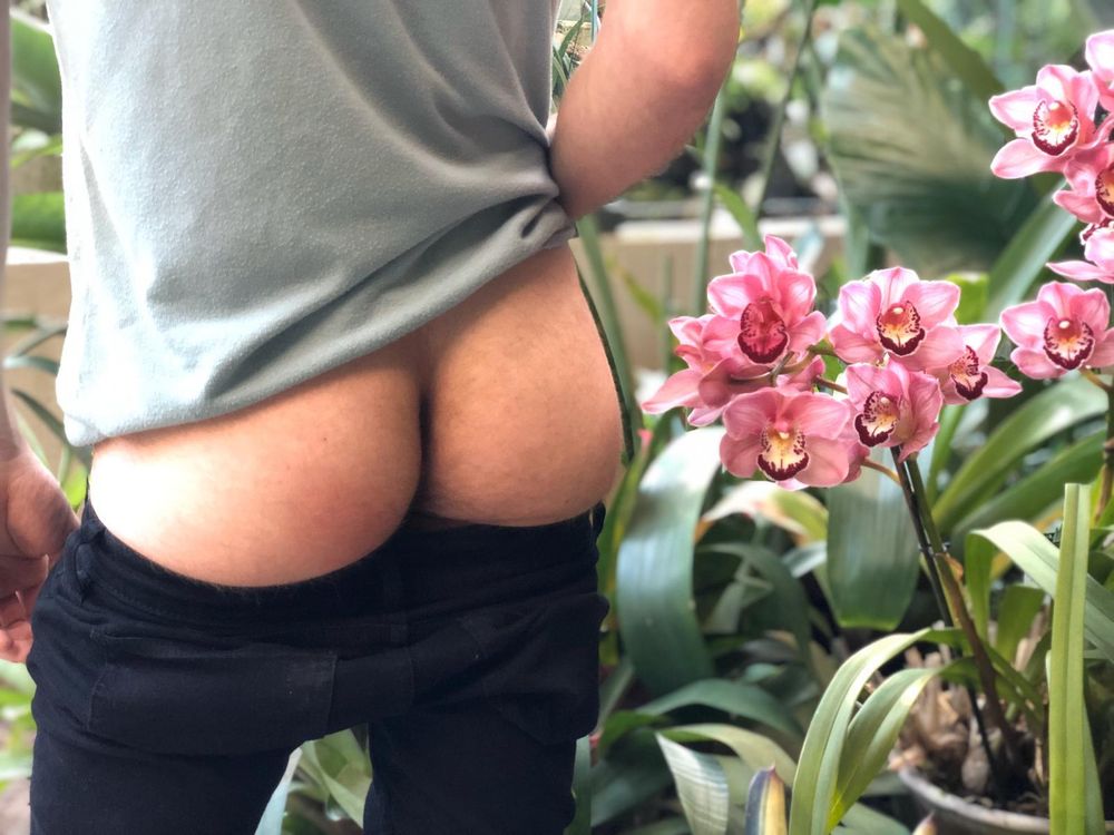 dionisiaco91 OnlyFans profile picture