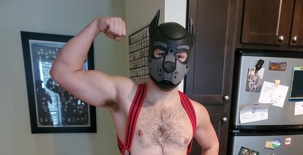 puprx OnlyFans profile picture