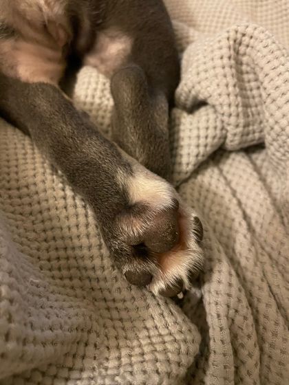 disneyfeets OnlyFans picture
