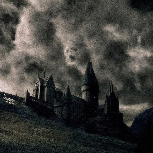 leviosasex OnlyFans profile picture