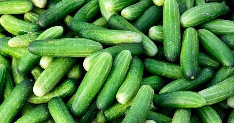 vegetablegirl OnlyFans profile picture