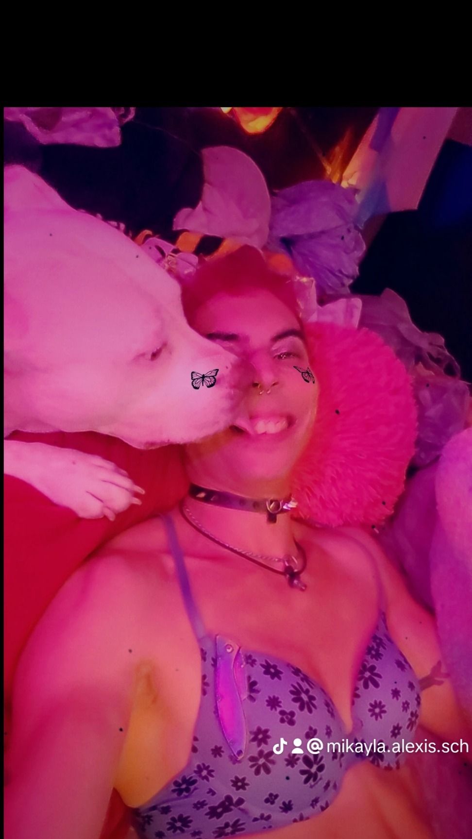 alexisthefox OnlyFans profile picture
