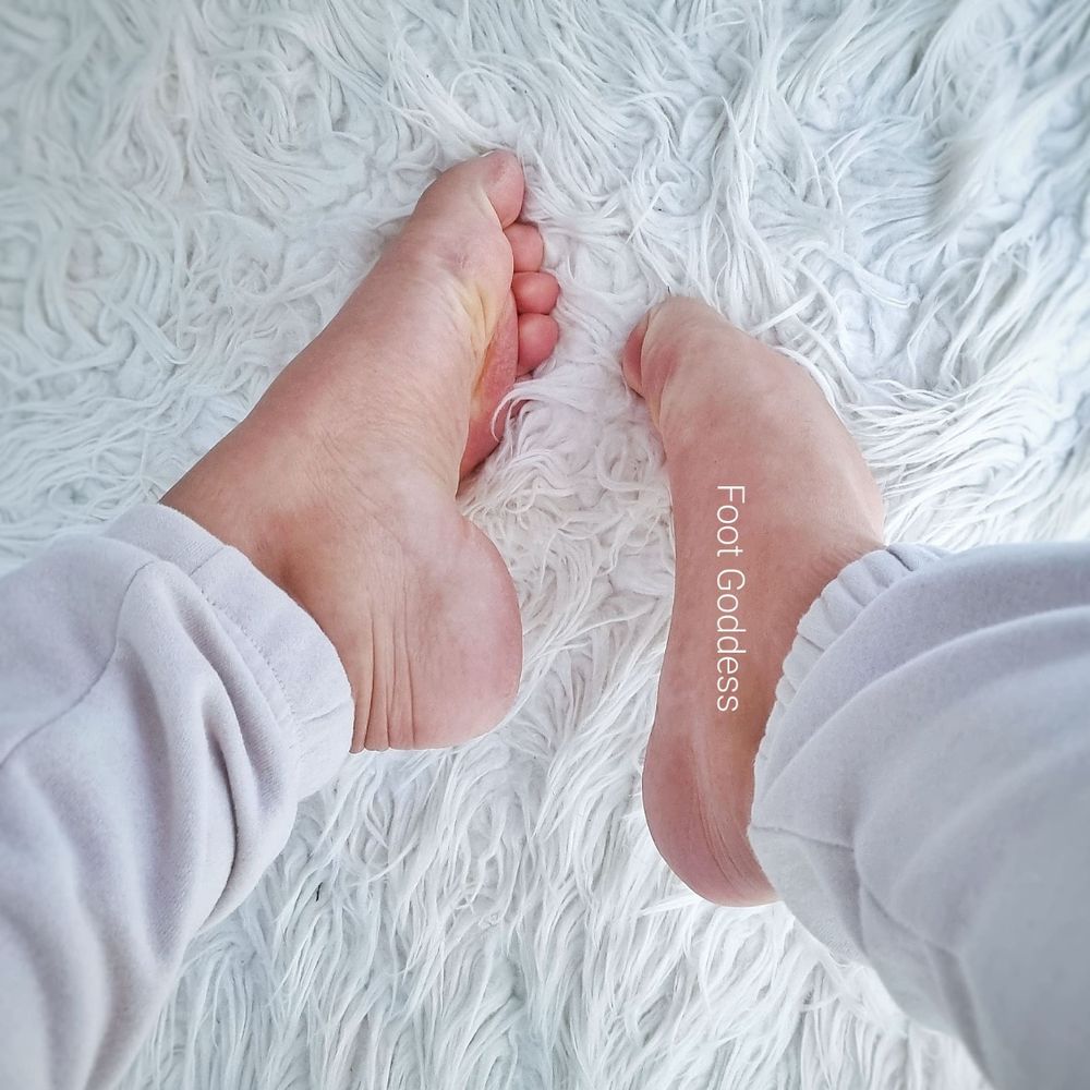 sfoogoddess OnlyFans profile picture