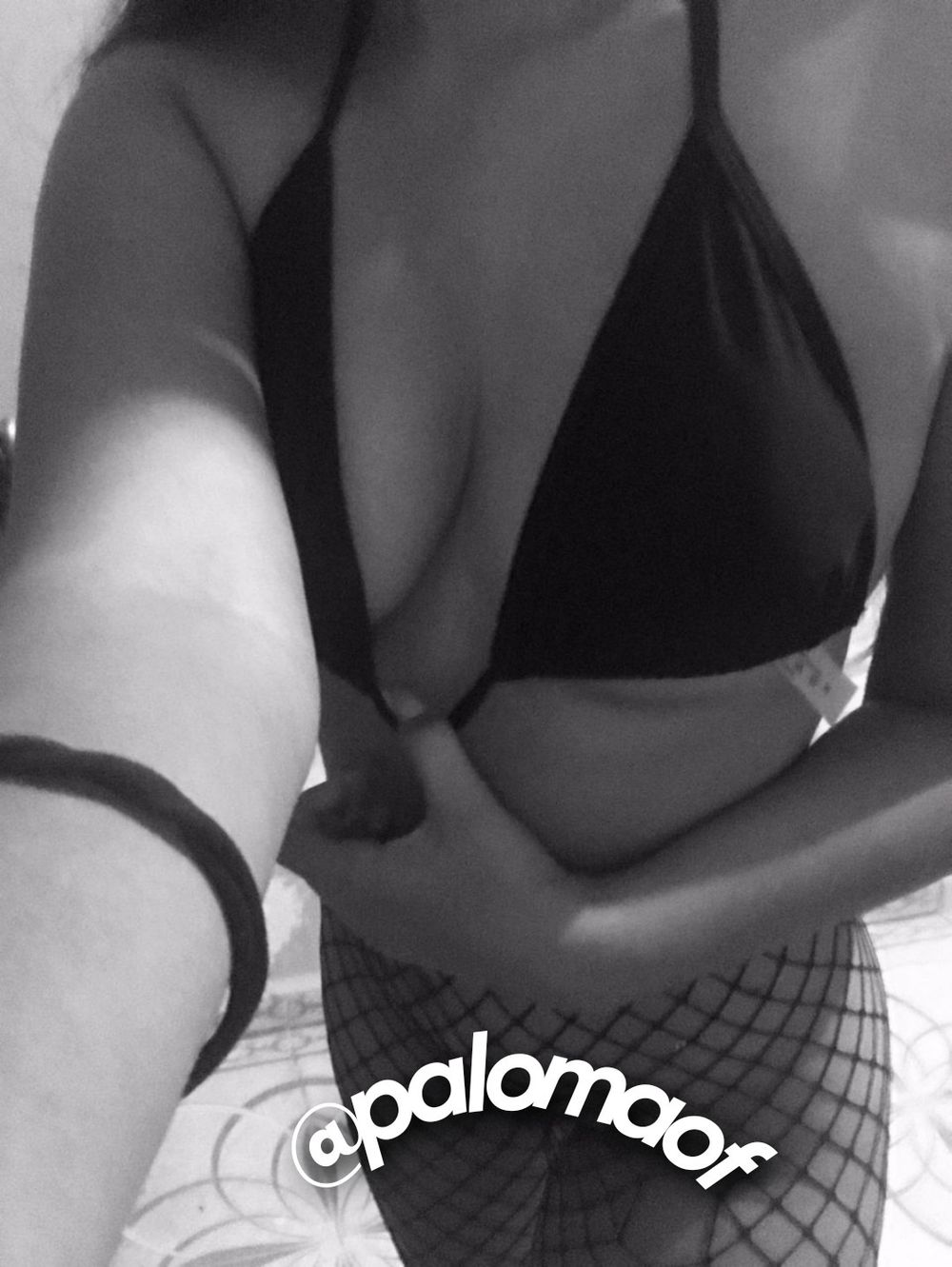 palomaof OnlyFans profile picture