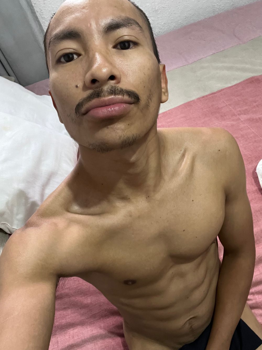 mikkeledu OnlyFans profile picture