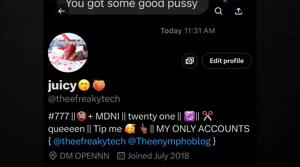 theefrkytechh OnlyFans profile picture