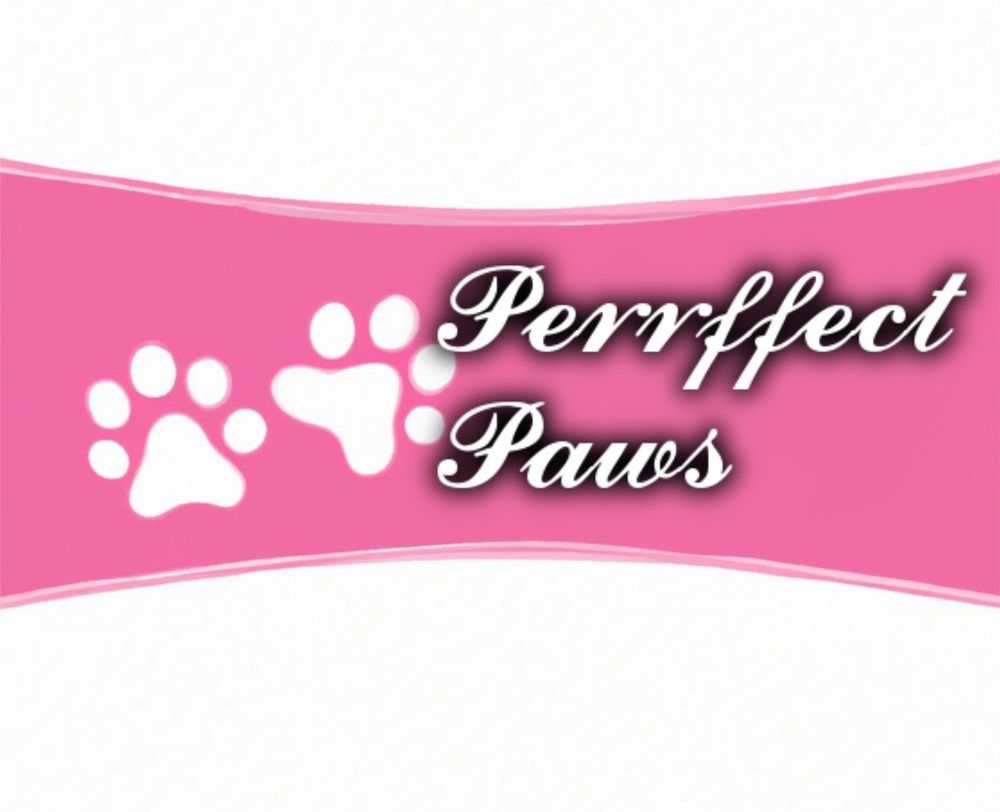 purrffectpaws OnlyFans profile picture