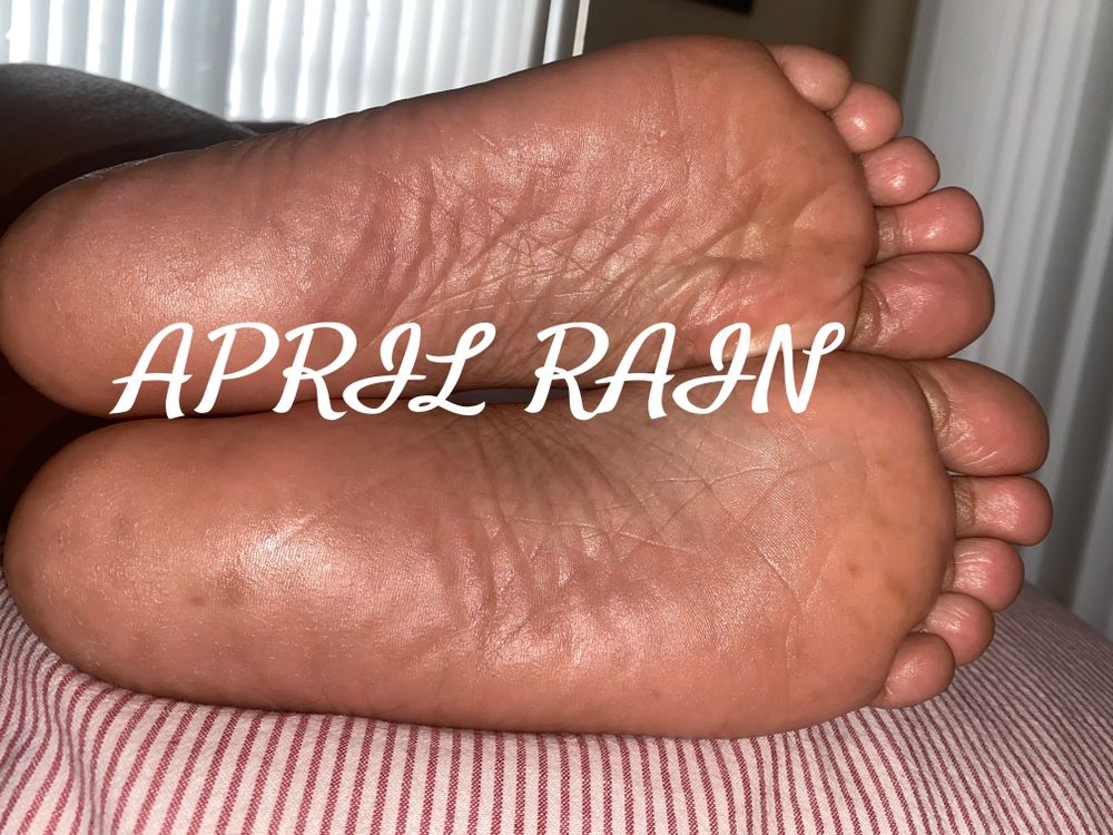 aprilrain085 OnlyFans profile picture