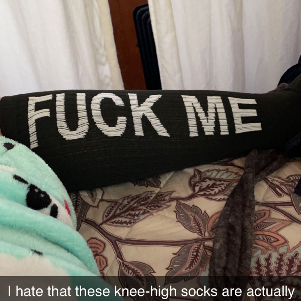 ectothermfeels OnlyFans profile picture