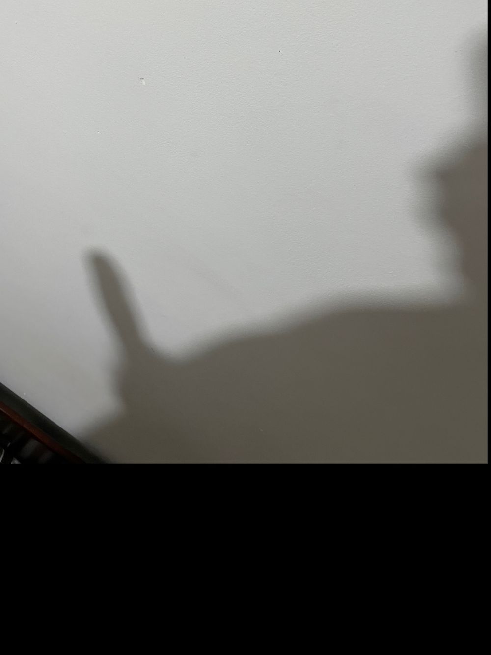 agonyxxtentation OnlyFans profile picture