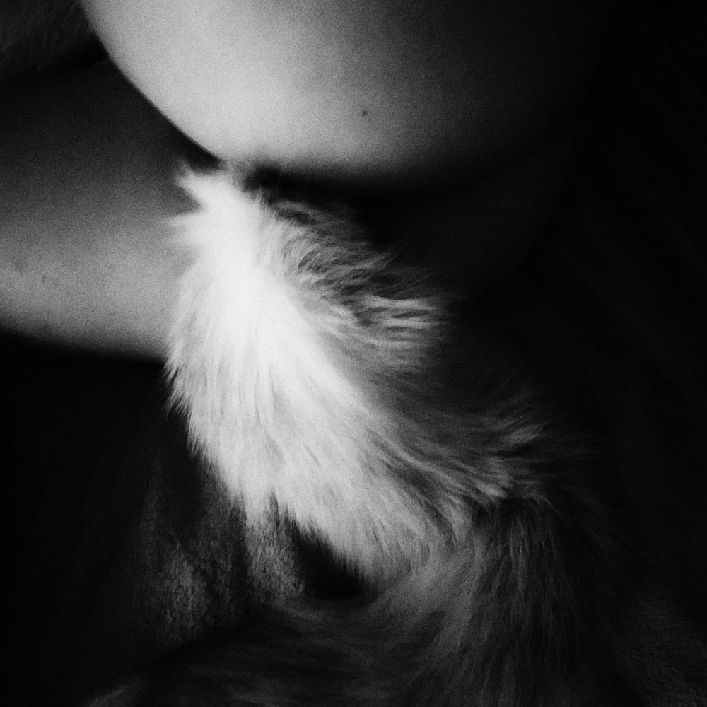 indigosativafree OnlyFans profile picture