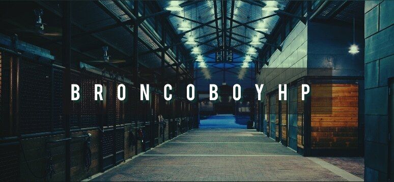 broncoboyhp OnlyFans profile picture