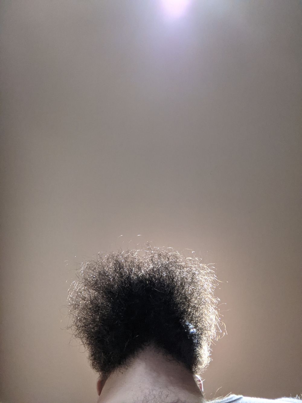 bighairyman1 OnlyFans profile picture