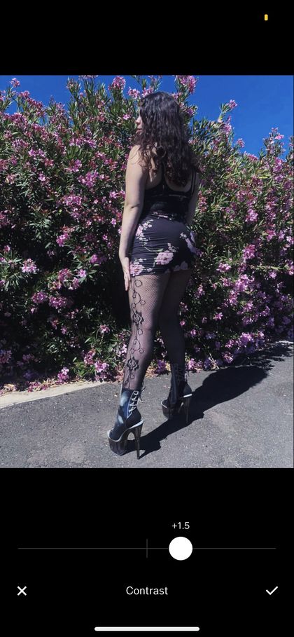 laceddashit OnlyFans picture