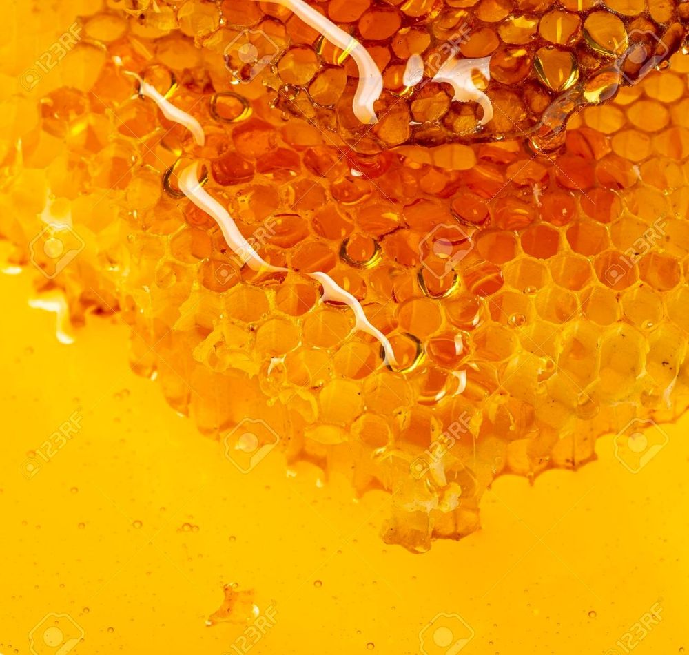 honeyangelo OnlyFans profile picture