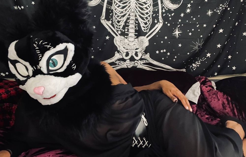 kittenquinn94 OnlyFans profile picture