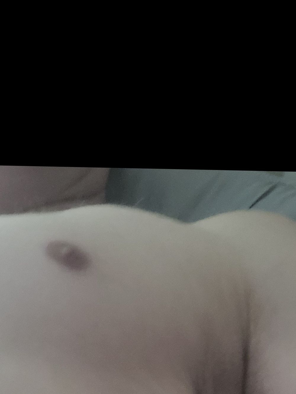 dang_leeballs OnlyFans profile picture
