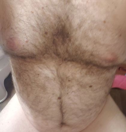 lunchbox_bottoms OnlyFans picture
