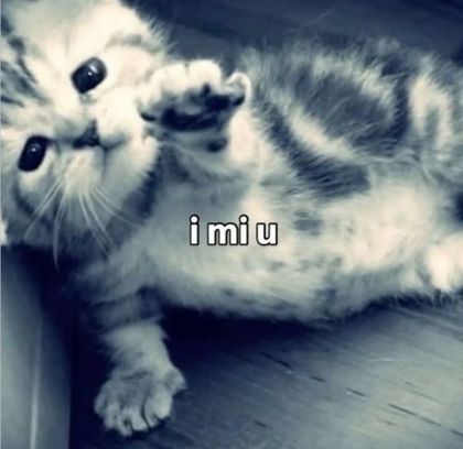 miuiui OnlyFans picture
