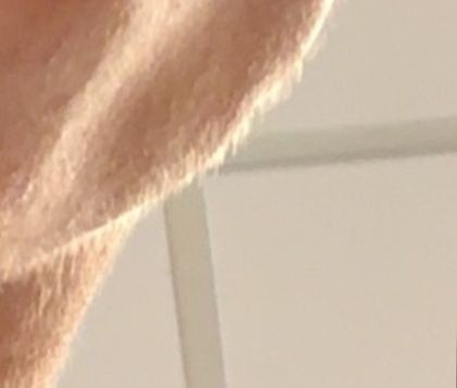 slaveofbellanr2 OnlyFans picture