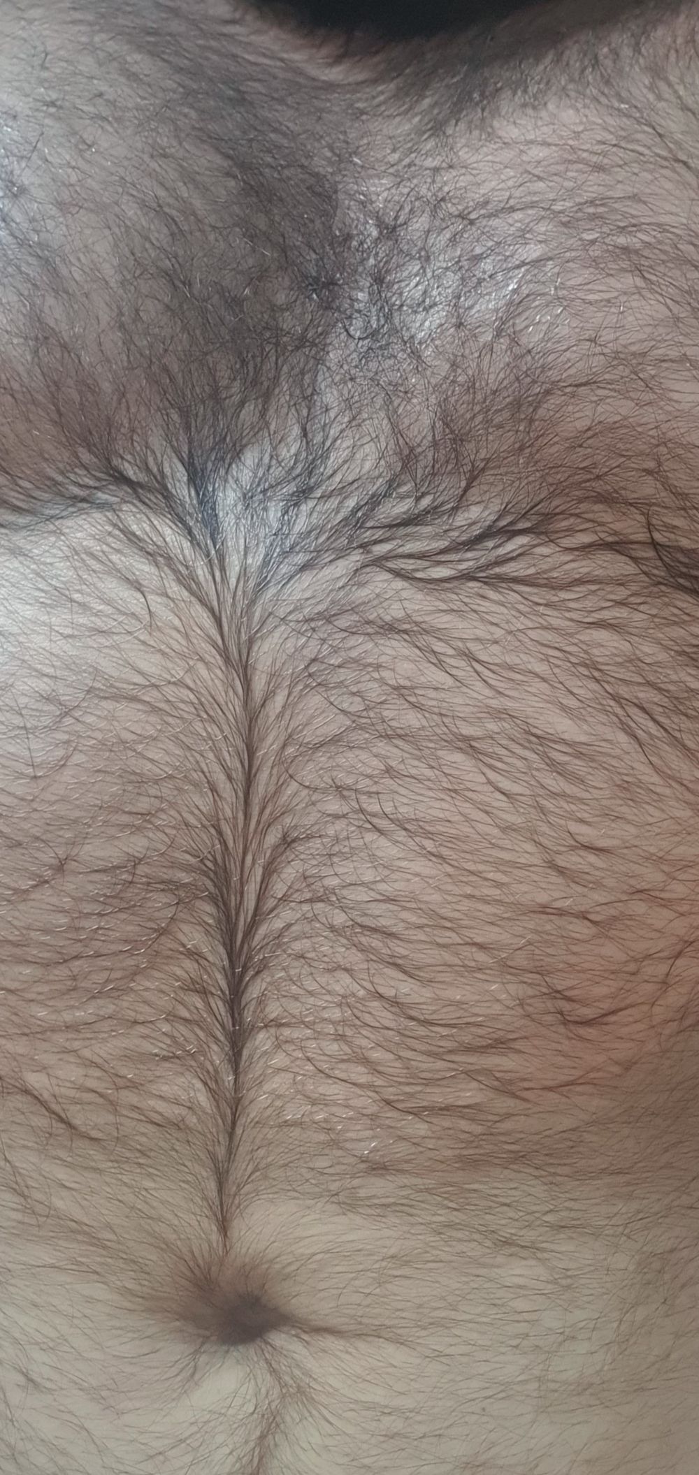 daddybeardan1986 OnlyFans profile picture
