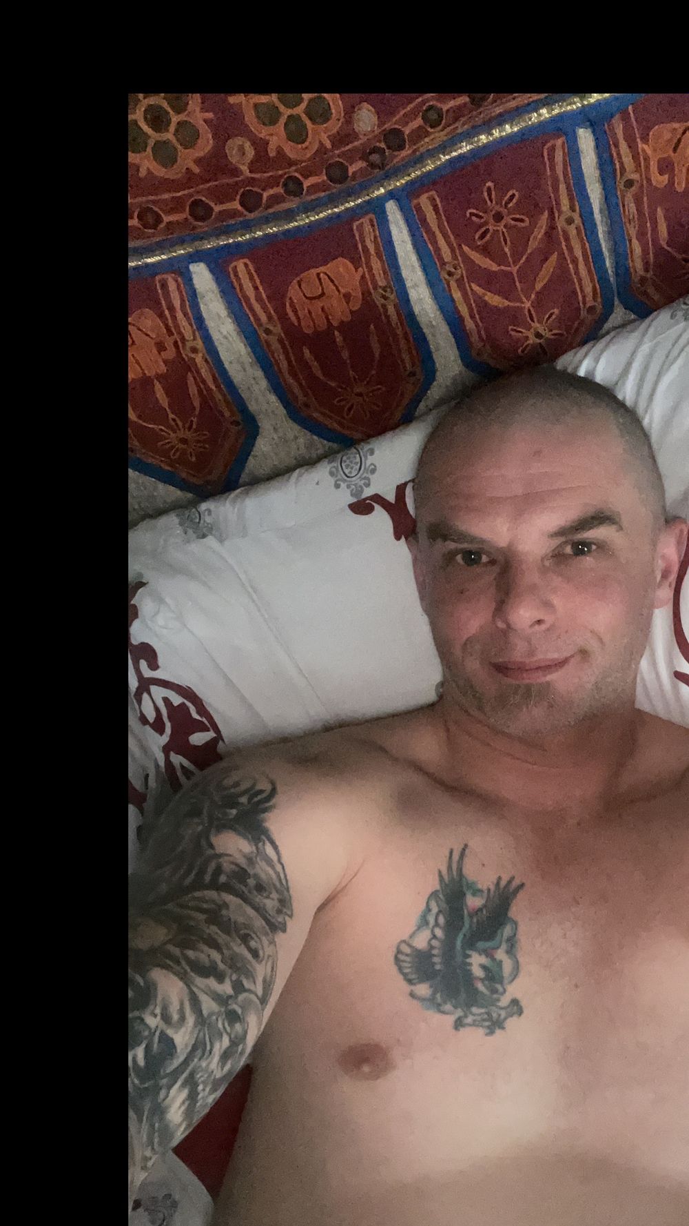 swisstony79 OnlyFans profile picture