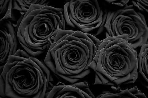 nymphettesoul OnlyFans profile picture