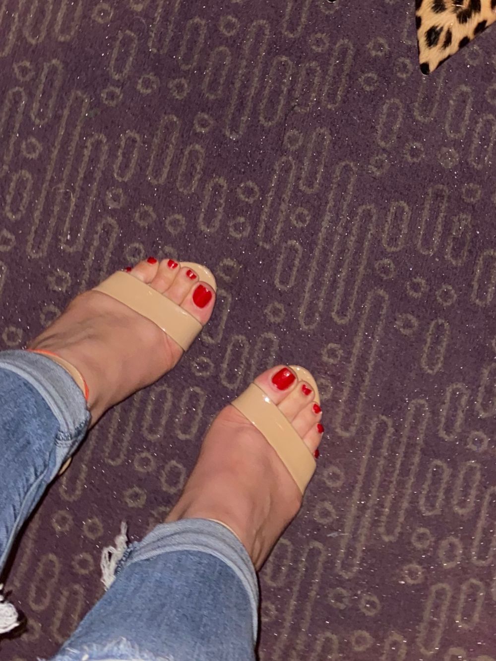 ssweetf33t OnlyFans profile picture