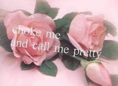 emilykitkat96 OnlyFans profile picture