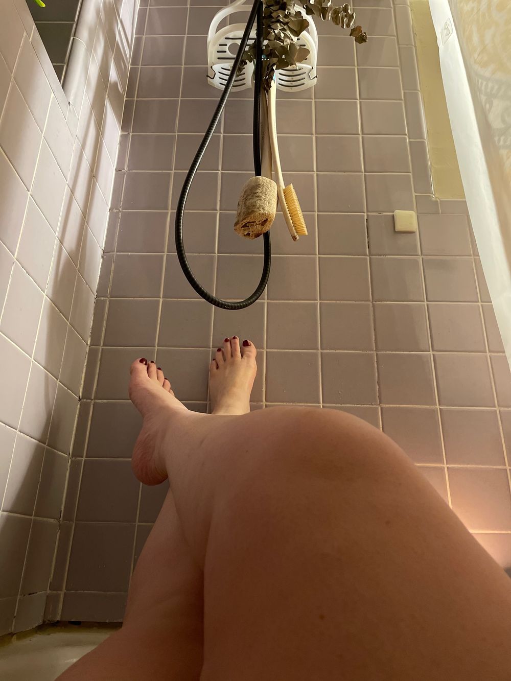 st3llaros3 OnlyFans profile picture