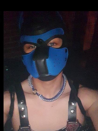 pupcoomaxxx OnlyFans picture