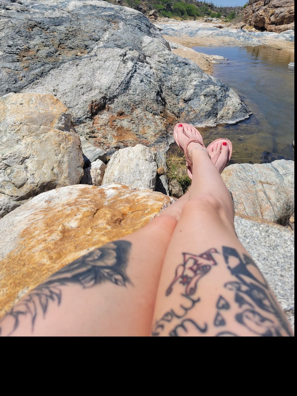 justak420 OnlyFans profile picture