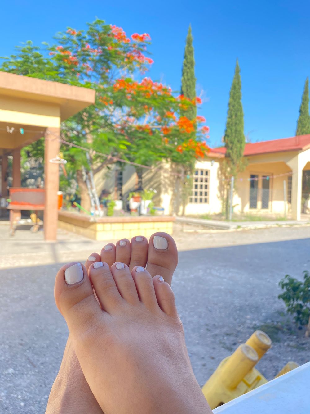 sweetgirlfeet.com OnlyFans profile picture