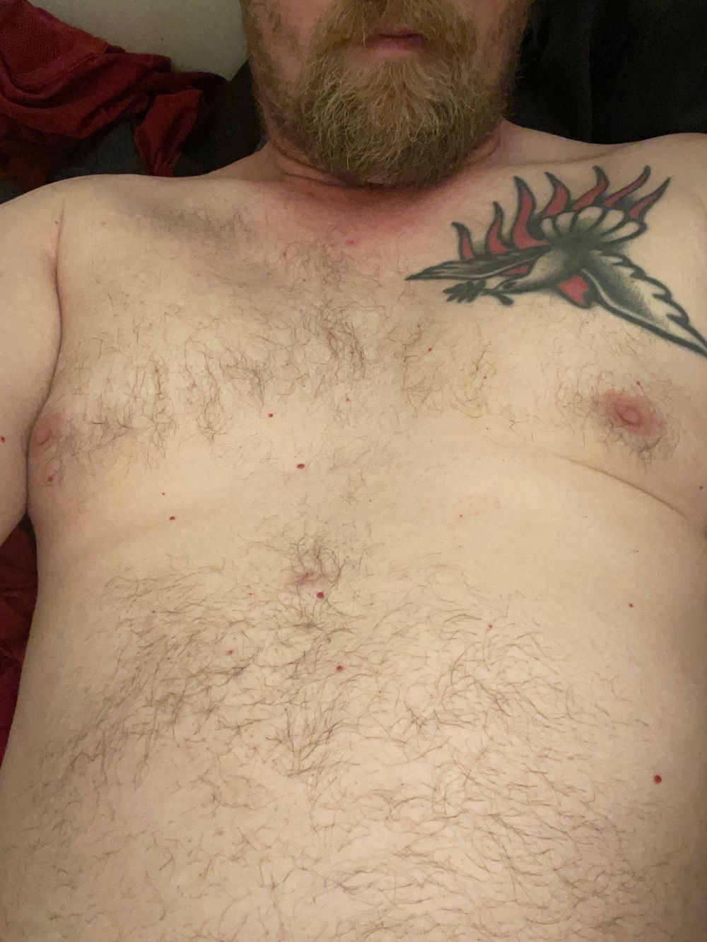 u70710635 OnlyFans profile picture