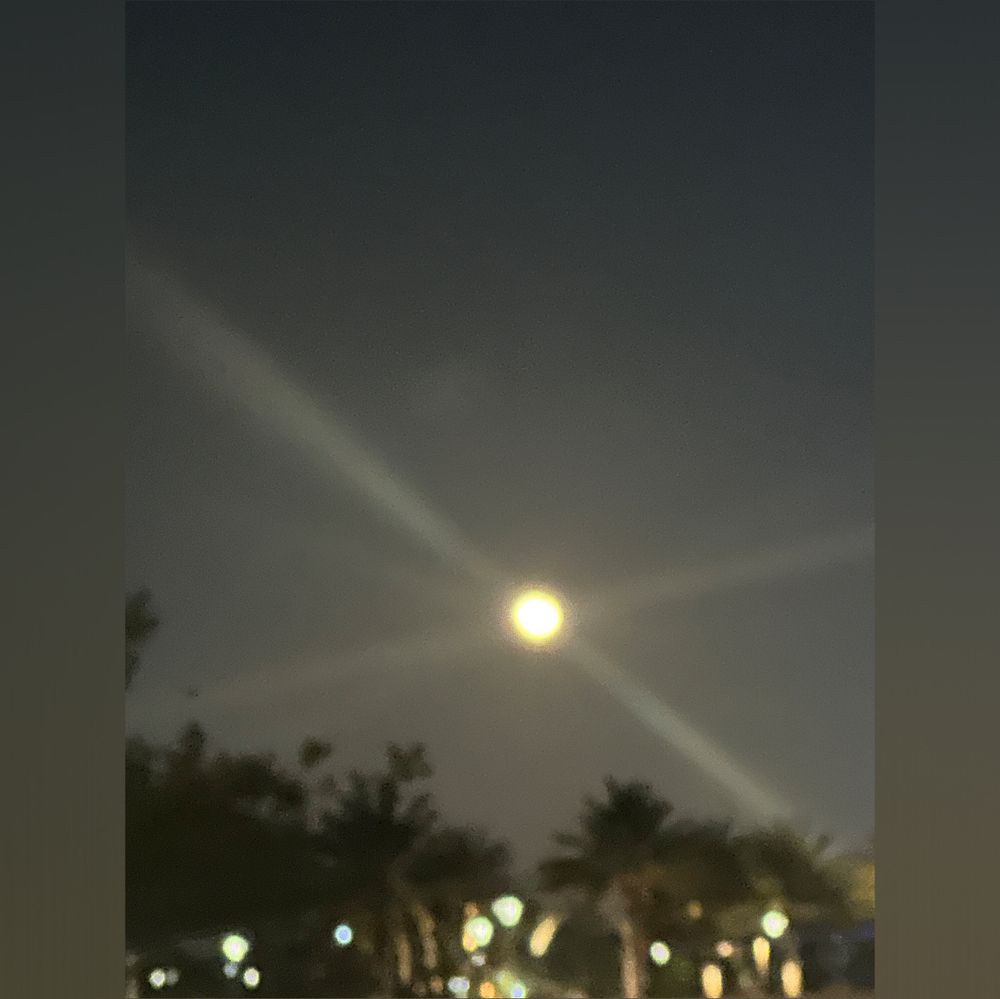 fineappletingz OnlyFans profile picture