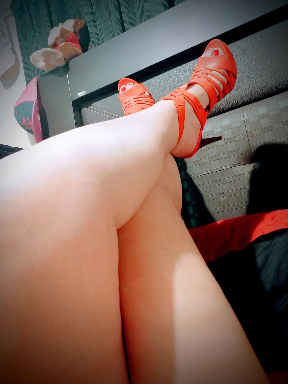 u86381647 OnlyFans profile picture