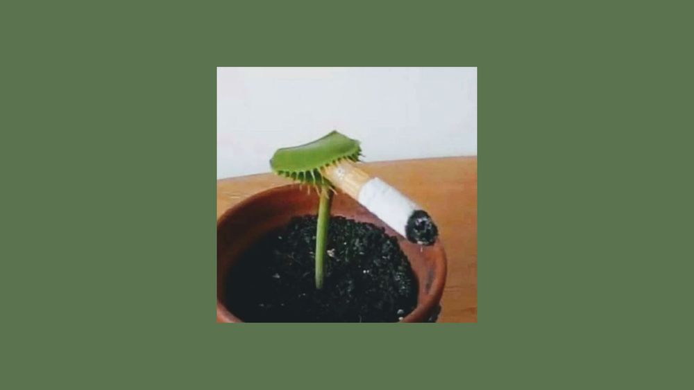 spottswood OnlyFans profile picture