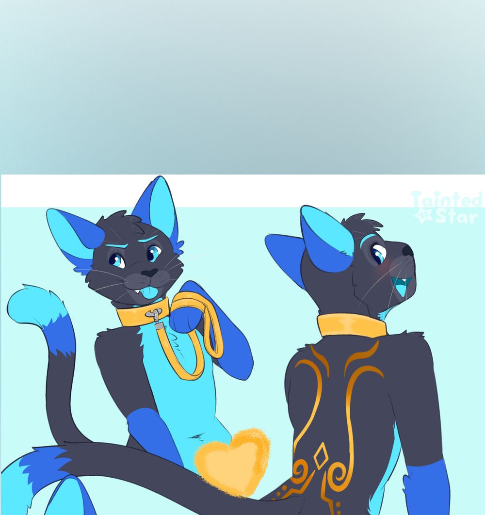 zephycat OnlyFans profile picture