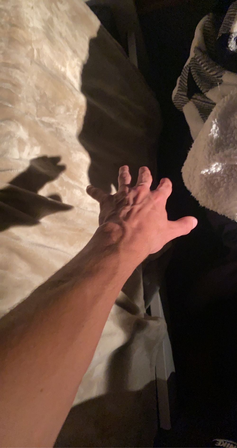 tfunds OnlyFans profile picture